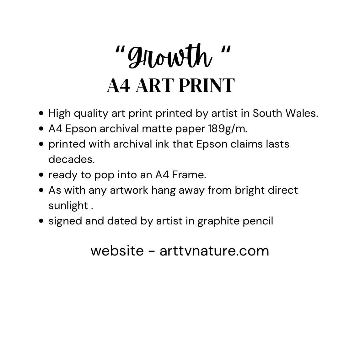 “Growth“ fine art print