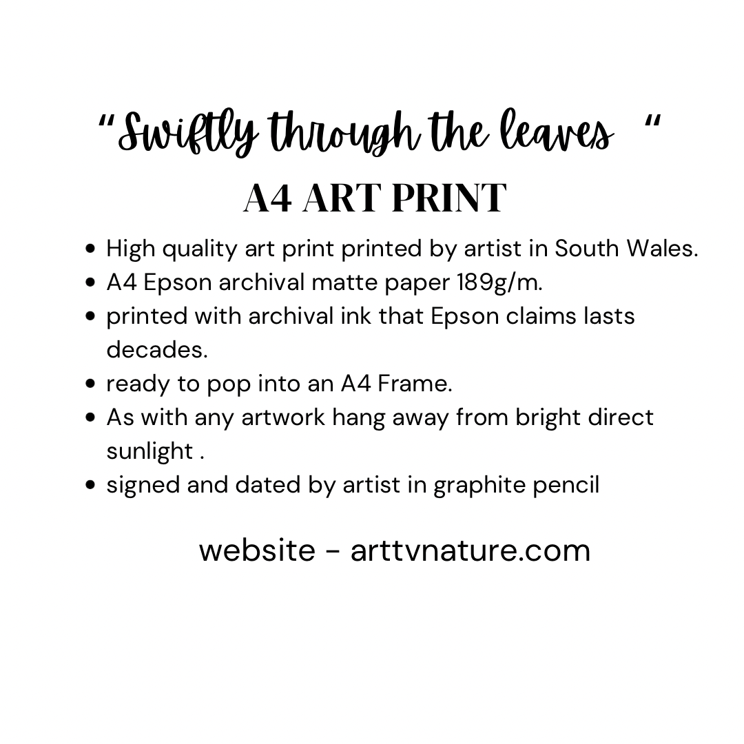 “Swiftly through the leaves “ fine art print