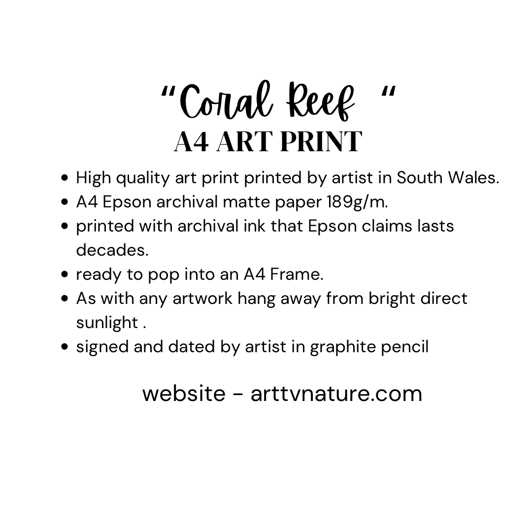 “Coral reef ” fine art print