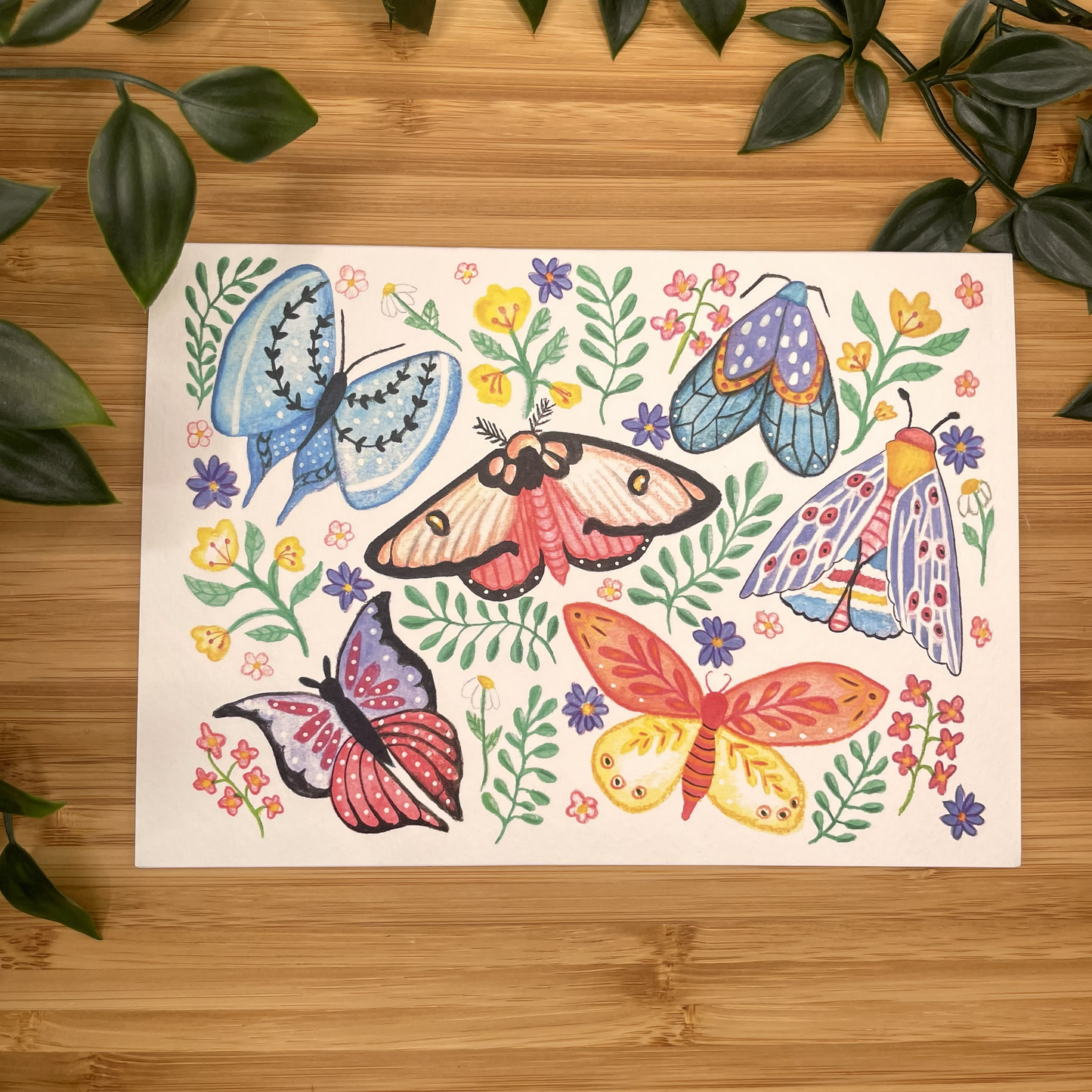 “Butterflies & Moths” art print greeting card