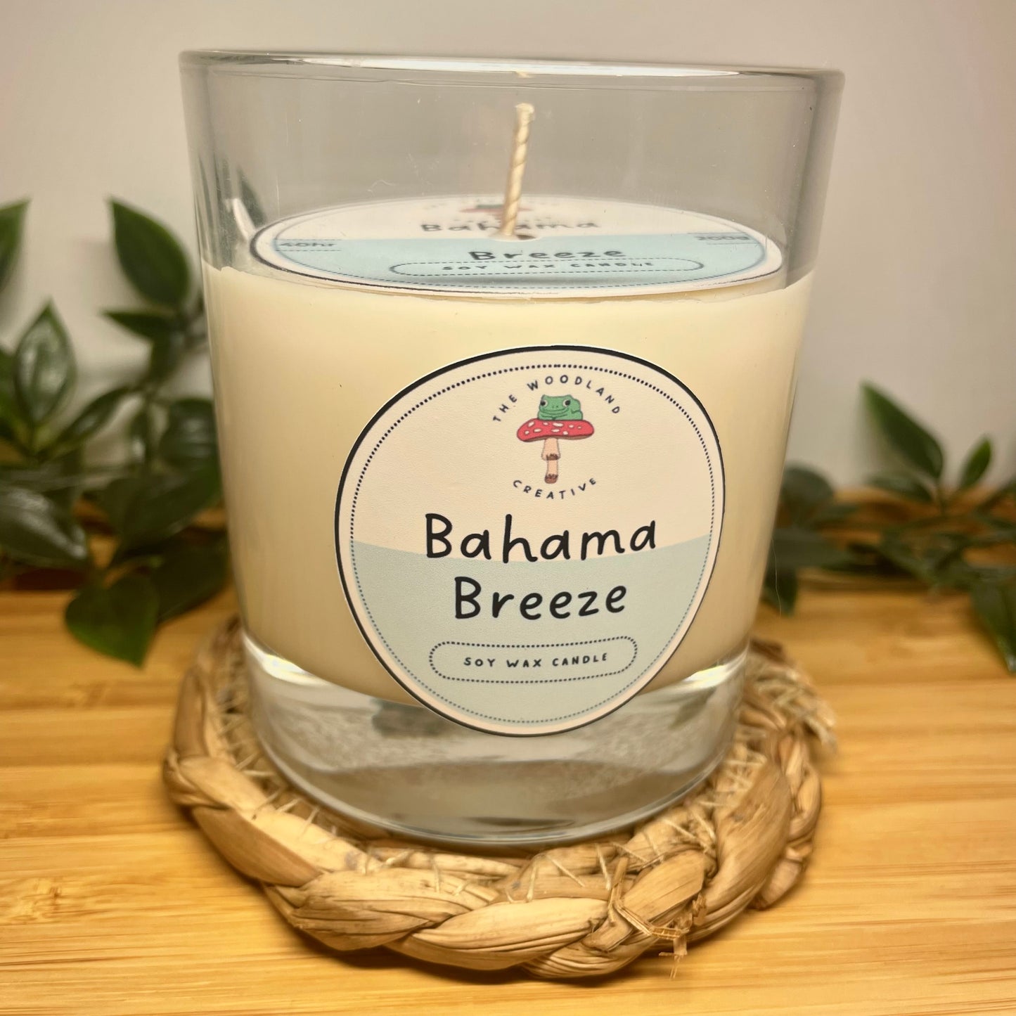Bahama Breeze handmade soy candle