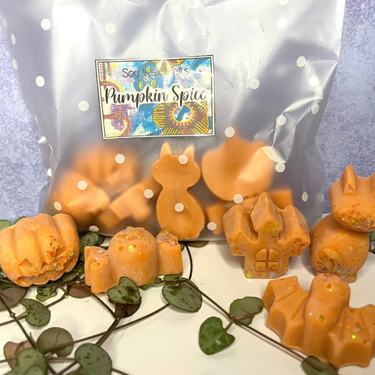 Pumpkin spice handmade soy wax melts